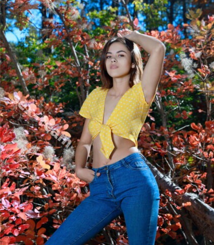 Проститутка Диана